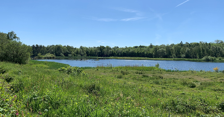 view of Low Barns Nature Reserve on a bright sunny day